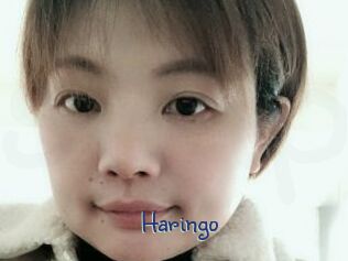 Haringo