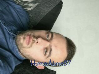 HomeAlone87