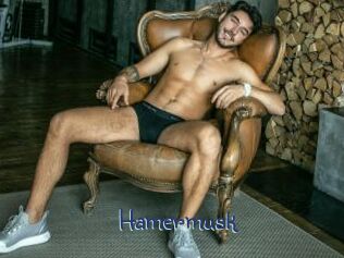 Hamermusk