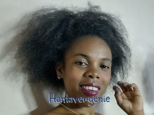 hantavergenie Stripx