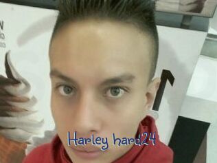 Harley_hard24