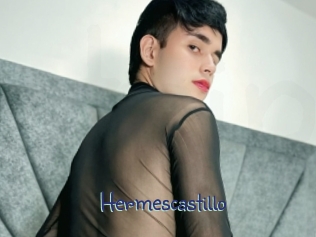 hermescastillo Stripx