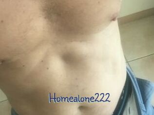 Homealone222