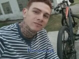 Homerocock