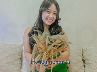 honeymendoza Stripx