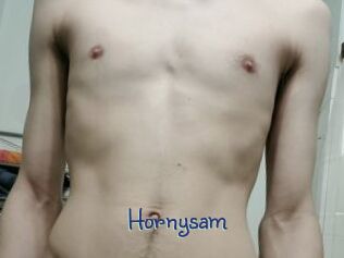 hornysam Stripx