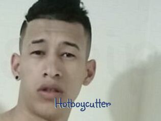 hotboycutter Stripx