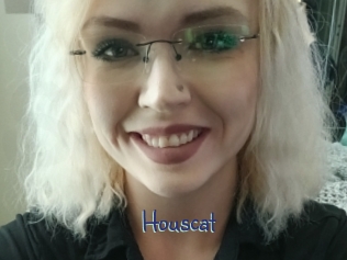 Houscat