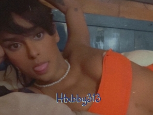 Htxbby313