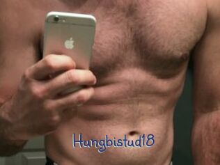 Hungbistud18