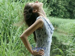 Ingera