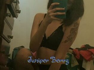 Juniper_Berry
