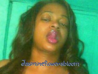 Jasmineflowersbloom