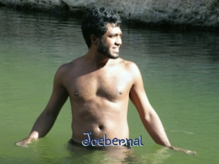 joebernal Stripx