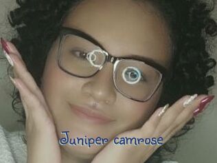 juniper_camrose Stripx