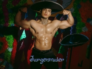 jurgenmuler Stripx