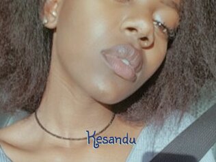Kesandu