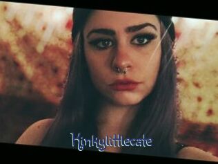 Kinkylittlecate
