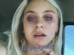 Kittysplaypen18