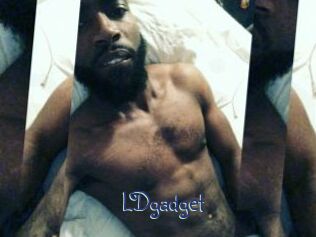 LDgadget