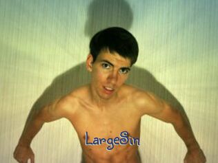 LargeSin