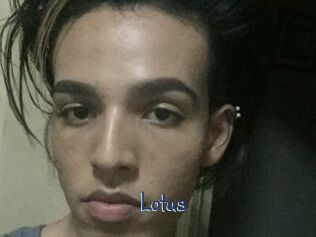 Lotus