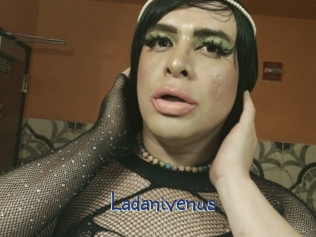 Ladanivenus