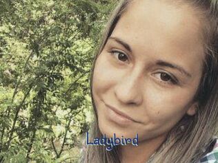 Ladybird