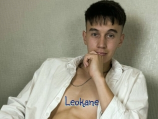 leokane Stripx