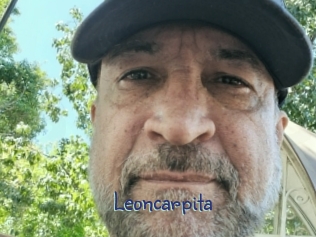 Leoncarpita