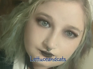 Lettuceandcats