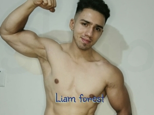 liam_forest Stripx