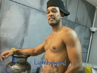 liamhoward Stripx