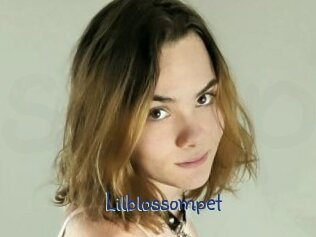 Lilblossompet