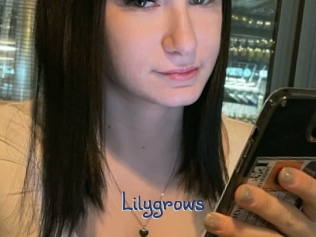 lilygrows Stripx