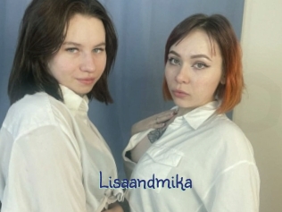 Lisaandmika