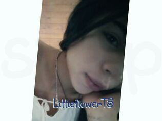 LittleflowerTS