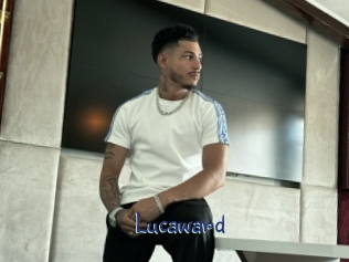 lucaward Stripx