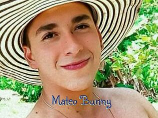 Mateo_Bunny