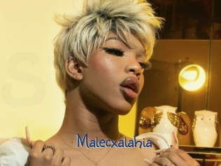 malecxalahia Stripx