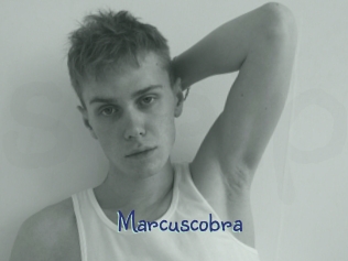 Marcuscobra