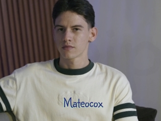 mateocox Stripx