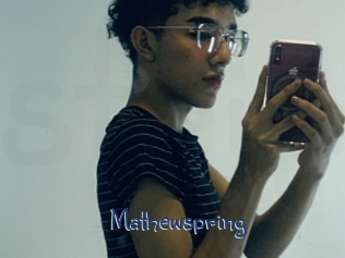 mathewspring Stripx