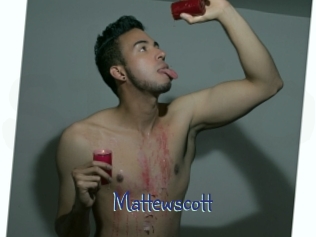 mattewscott Stripx