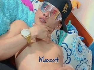 maxcott Stripx
