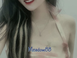 meadow88 Stripx