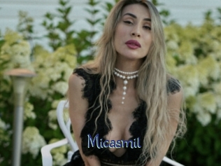 micasmil Stripx