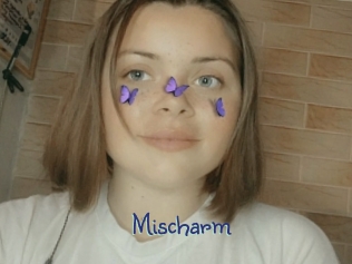 Mischarm