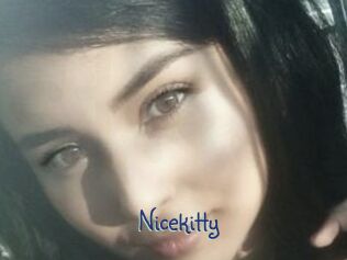 Nicekitty