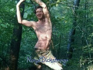 NinjaDickstroyr